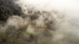Fog and Clouds Free Wallpaper Downloads: Cool Backgrounds for Designers and Social Media Pages
