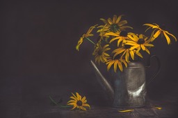 Vintage Flowers in a Watering Can: Free Download of Cool Backgrounds in JPG Format for Graphic Design