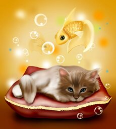 Free Downloadable Kitten and Fish Backgrounds in JPG Format for Graphic Design and Social Media Styling on iPhone!