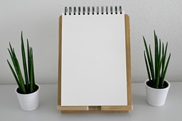 Download Free Green Background Images in Notebook and Desktop Wallpaper for 4k Screens