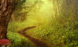Green Forest Background: Free JPG Image Downloads for Graphic Design and Web Design.