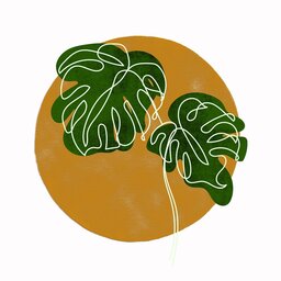 Tropical Monstera Plant on a Green Background: Free JPG Images for Design and Social Media Pages