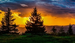 Stunning Sunset, Trees, and Grass Nature Backgrounds: Free Downloads for Graphic Designers and Social Media Styling in JPG Format