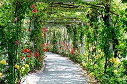 Beautiful Flower Arches for Free Download - Stunning Backgrounds in JPG Format for Graphic Design and More!