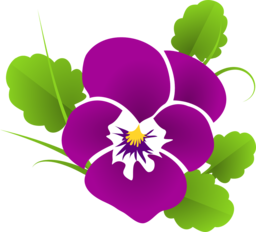 Free Download: Pansy, Violet, and Viola Flower Backgrounds in PNG Format