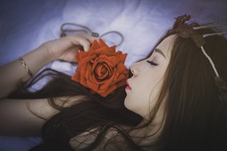 Download Free Rose and Girl Background Images for Graphic Design and Social Media Pages