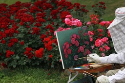 Download Free Rose Images and Backgrounds for Graphic Design and Social Media Styling