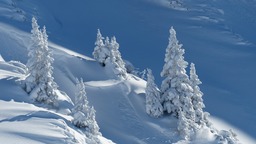 Stunning Snowy Landscapes: Free Winter Backgrounds for Download in JPG Format