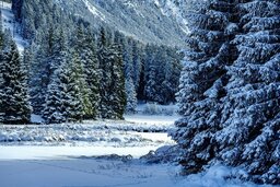 Free Winter Backgrounds in JPG Format for Graphics and Web Design