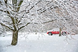 Download Free Winter Truck Background Images in JPG Format for Graphic Design and Social Media Styling