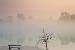 Beautiful Tree, Bank, and Fog Winter Backgrounds - Free Download for Graphic Designers and Social Media Styling