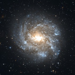 Free Downloadable Images of Ngc 2082, Bar Spiral Galaxy, and Constellation Swordfish in JPG Format