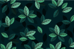 Free Downloadable PNG Images of Leaves, Foliage, and Plants: Abstract Backgrounds for Graphic Design and Social Media Styling