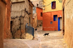 Get Inspired with Free Street, Cat, Rural and City Architecture Background Images in JPG Format
