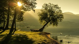 Download Beautiful Summer Landscape Sunrise Backgrounds in JPG Format for Free
