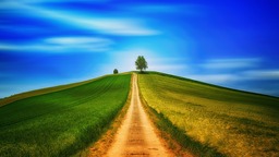 Stunning Summer Backgrounds with Hill and Fields - Free Download in JPG Format