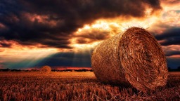 Get Free High-Quality Summer Nature Backgrounds in JPG Format Featuring Hay Bales and Straw for Graphic Design Projects and Social Media Pages Download Now