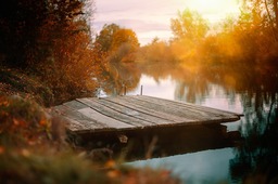 Stunning Autumn Lake and Boardwalk Background Images for Free Download