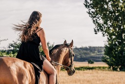 Horseback Riding and Summer Vibes: Free Downloadable Backgrounds for Horse Enthusiasts and Designers Alike
