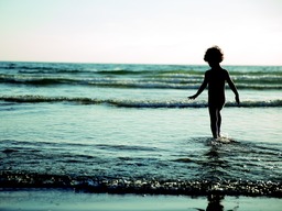 Free Summer Beach and Coast Backgrounds for Download - Perfect for Graphic Design and Social Media
