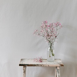 Beautiful Summer Flower Arrangements: Free Downloadable JPG Images for Graphics, Web Design, and Social Media Styling with Vase and Baby's Breath...