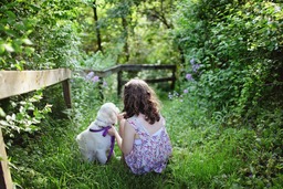 Free Downloadable Child, Dog, and Pet Summer Background Images in JPG Format for Graphic Design, Social Media, and Web Design