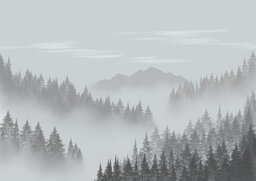 Download Free Black and White Forest, Fog, and Mountain Background Images in JPG Format for Graphic Design and Social Media Styling