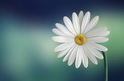  | Background