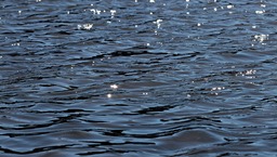 Beautiful Waters and Reflective Nature: Glitter Backgrounds for Free Download