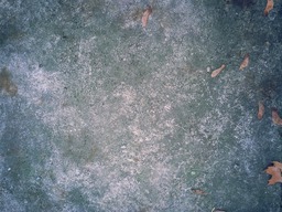 Download Stunning Stone Textures and Natural Backgrounds for Free!