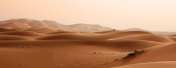 Free Desert and Morocco Inspired Wallpapers - Popular Backgrounds for Graphic Design and Social Media Pages