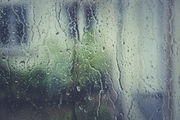 Free Downloadable Rain Stoppers and Beautiful Wallpapers with Water Elements in Popular Styles