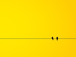 Amazing Yellow Minimalistic Bird Wallpapers for Free Download