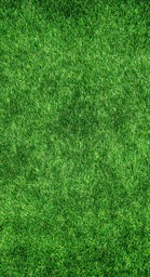 Beautiful Grass, Lawn and Garden Wallpapers - Popular Wallpaper for Free Download