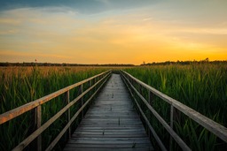 Stunning Sunset and Federsee Desktop Wallpaper: Download Free Popular Backgrounds in JPG Format