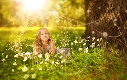 Stunning Flower Images and High-Quality Stock Photos for Free Download: Perfect for Social Media Pages, Graphic Design and More!
