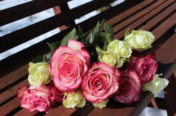 Colorful Rose Bouquets and Beautiful Flower Images in HD & 4K for Free Download