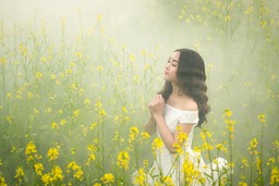 Stunning Flower Wallpapers for Download: HD & 4K Images, Royalty Free with Fog and Beautiful Backgrounds