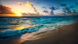 Explore the Beauty of the Ocean: Stunning HD Images of Beach, Sunsets and Underwater Scenes - Free Download!