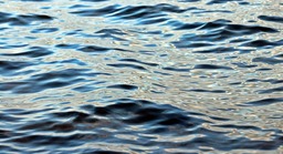 Get the Best HD Ocean Pictures and Cool Backgrounds Free for Download: From Waves to Sunset Photos and Everything in Between!