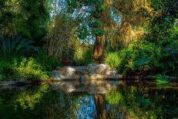 Explore the Serenity of Nature: Download Stunning Green Forest and Pond Images in HD and 4K for Free!