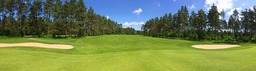 Gorgeous Green Scenery for Golfers and Nature Lovers: Download Free High-Quality Forest Images and Wallpapers - HD, 4K, and JPEG formats Available!