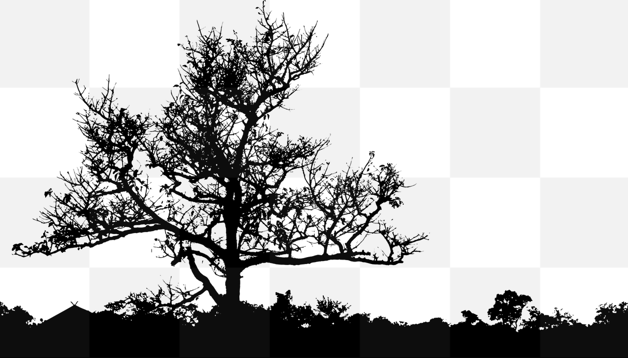 A collection of stunning tree PNG images with transparent backgrounds for graphic design and advertising