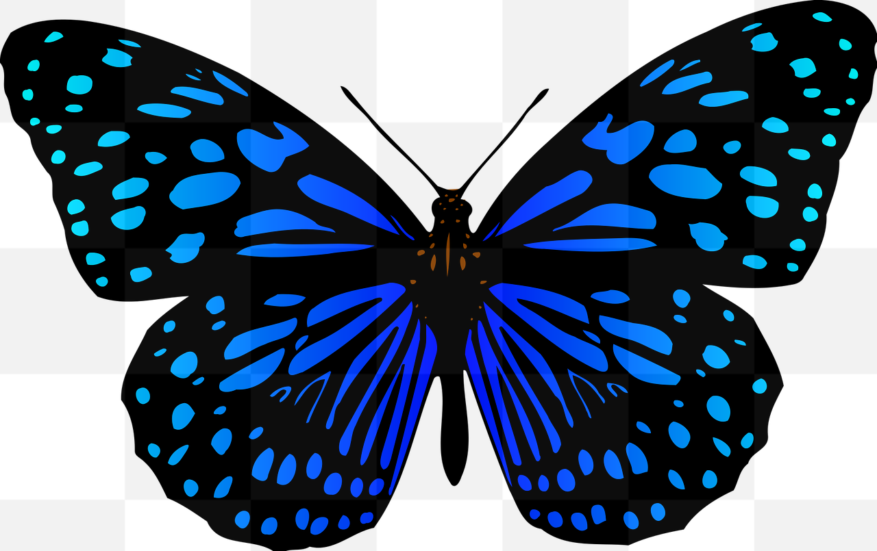 Attractive Butterfly PNG Images with Transparent Backgrounds - Ideal for Graphic Design and Advertising Projects!