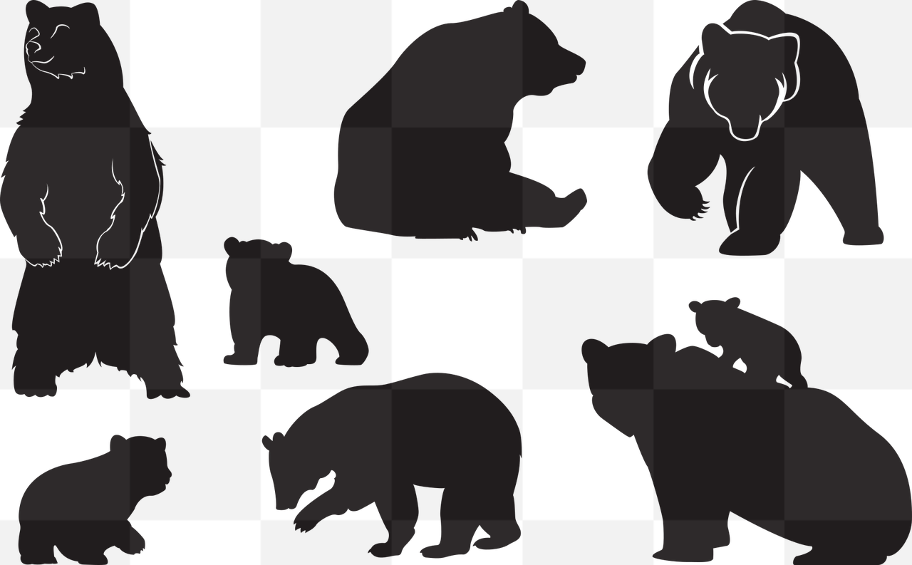 Beautiful Bear and Cub Images with Transparent Backgrounds - Free PNG Downloads for Designers