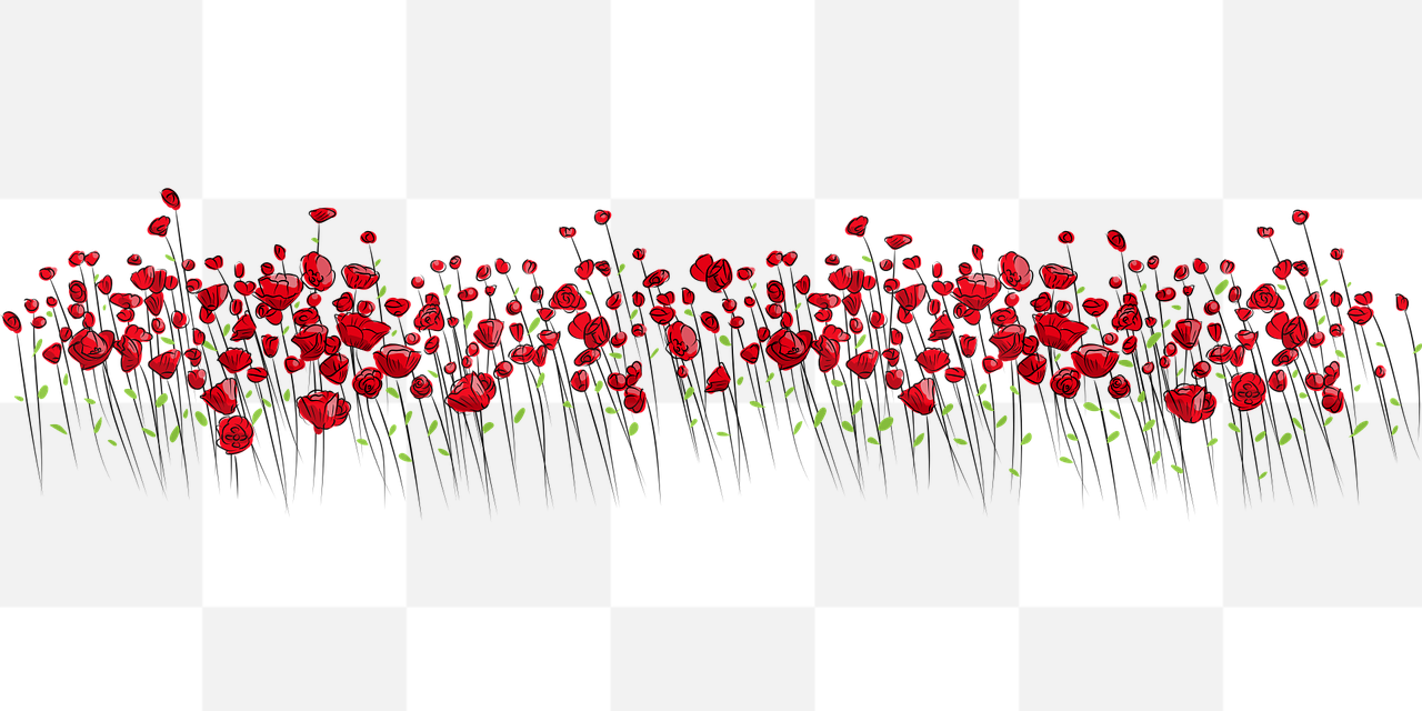 Beautiful Red Flower PNG Images with Transparent Backgrounds for Graphic Design and Advertising