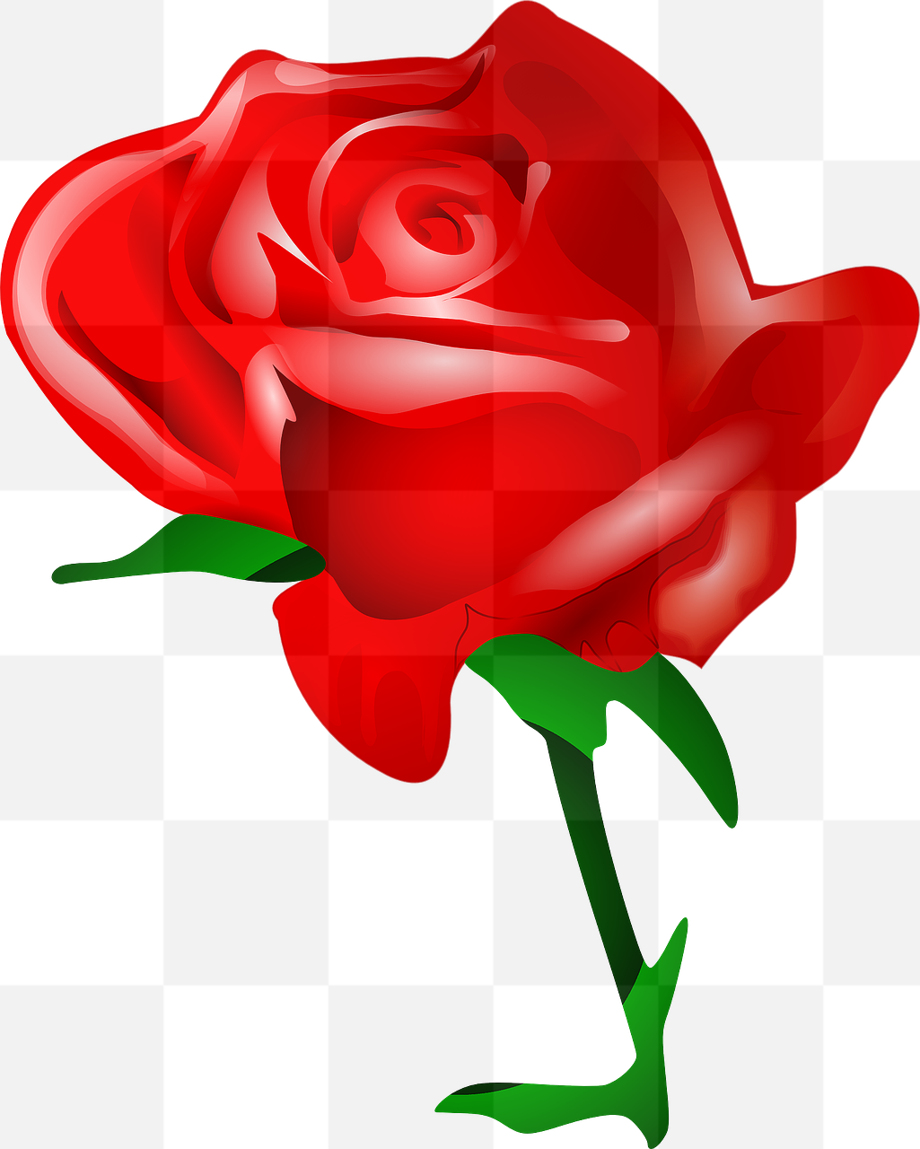 Beautiful Rose Graphics: Free PNG Images with Transparent Background