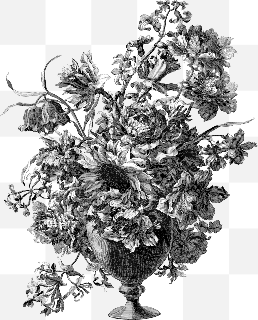 Beautifully Crafted Line Art Vases and Flowers: Get Your Free PNG Images and Vectors with Transparent Background