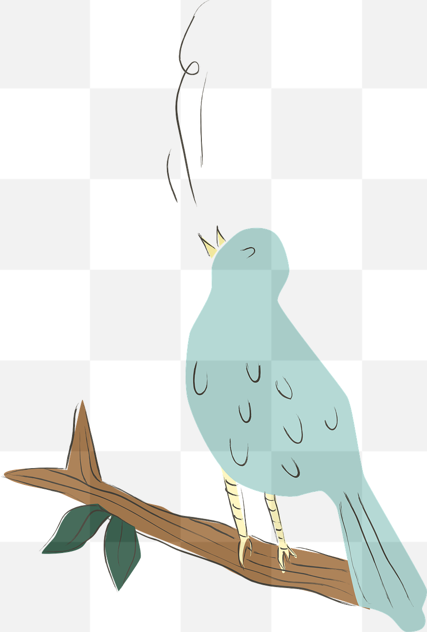 Bird PNG Images with Transparent Background for Graphic Design and Advertising
