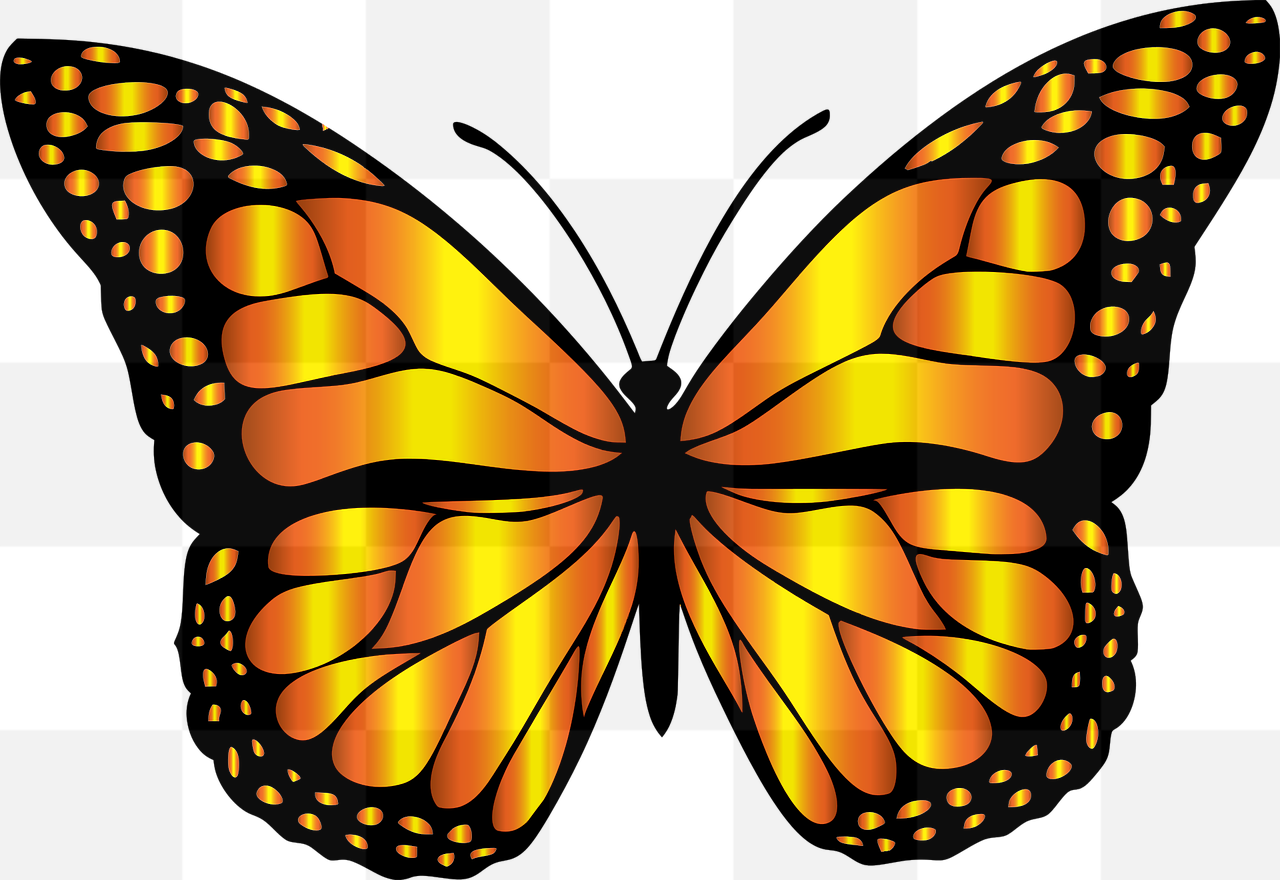 Colorful Animal and Butterfly Vector PNG Images with Transparent Background - Free Download